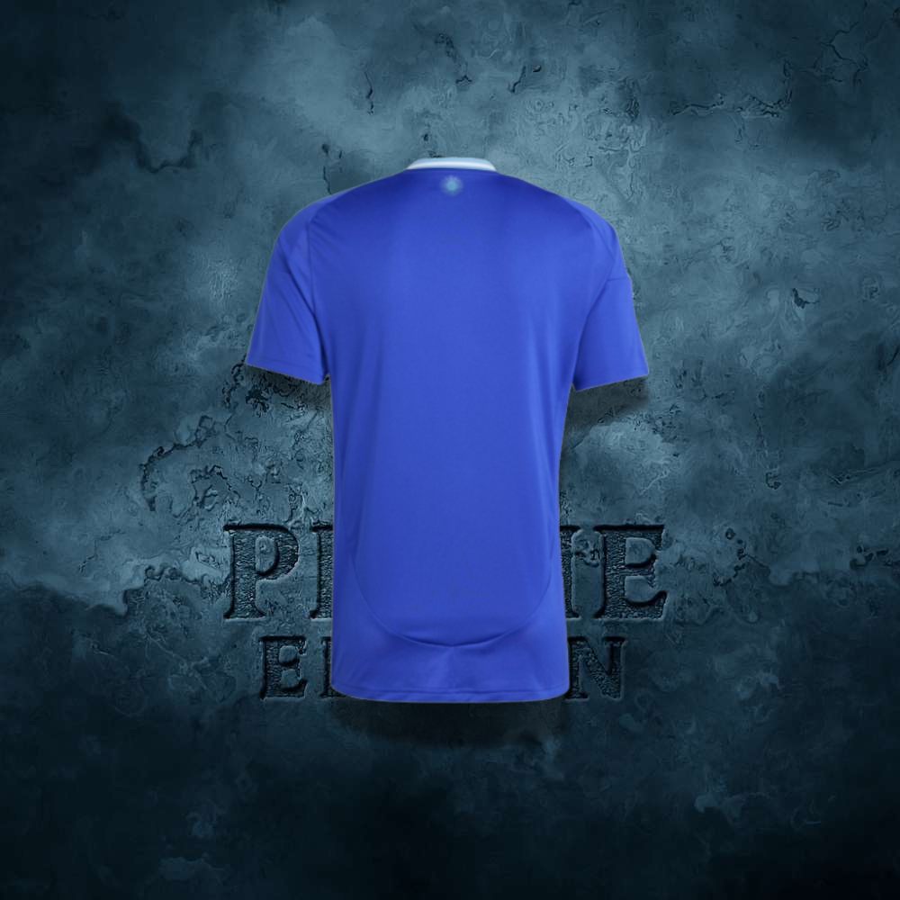 Maillot Argentine Extérieur 2024/2025